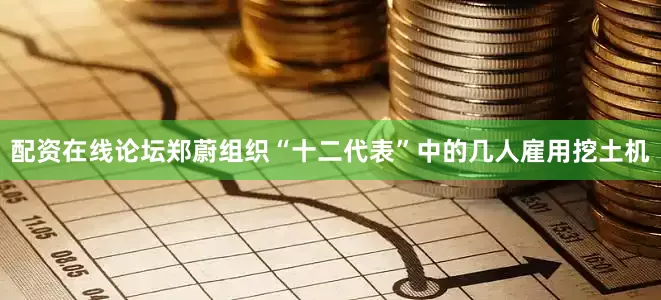 配资在线论坛郑蔚组织“十二代表”中的几人雇用挖土机