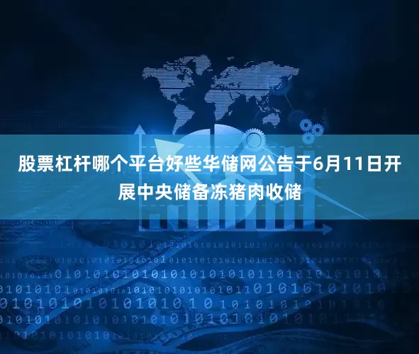 股票杠杆哪个平台好些华储网公告于6月11日开展中央储备冻猪肉收储