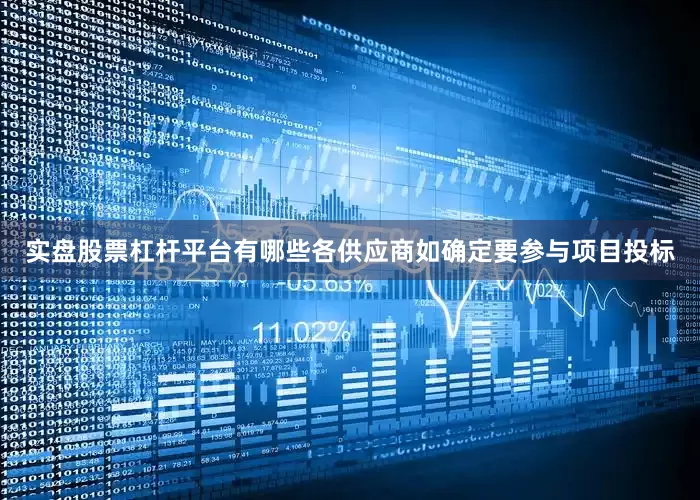 实盘股票杠杆平台有哪些各供应商如确定要参与项目投标
