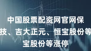 中国股票配资网官网保税科技、吉大正元、恒宝股份等涨停