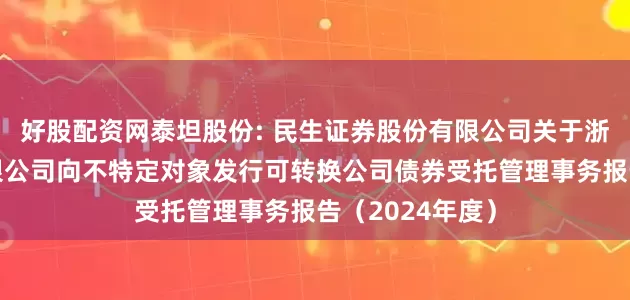 好股配资网泰坦股份: 民生证券股份有限公司关于浙江泰坦股份有限公司向不特定对象发行可转换公司债券受托管理事务报告（2024年度）