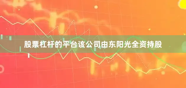 股票杠杆的平台该公司由东阳光全资持股